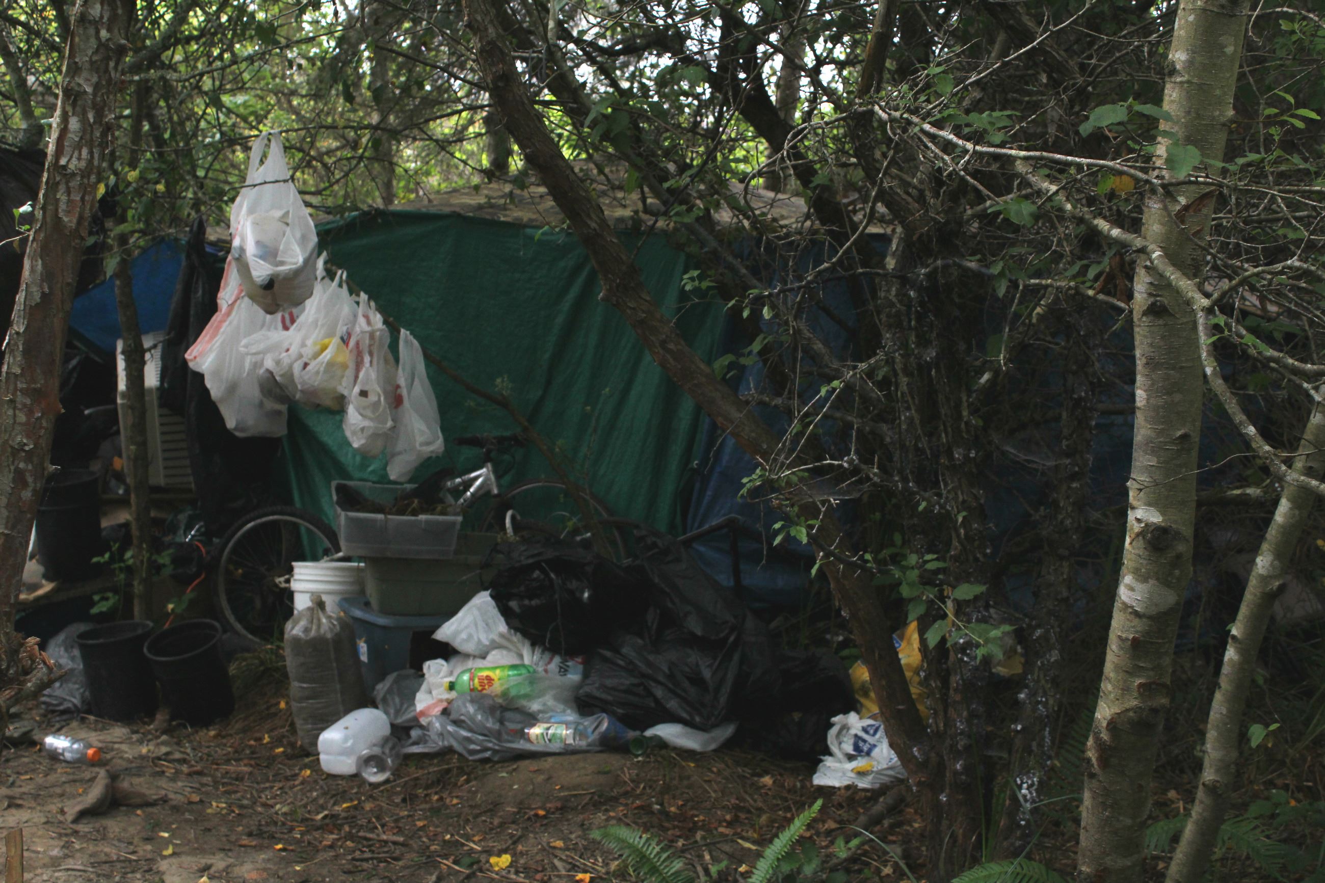 Central Avenue Camp #1